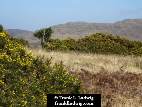 Connemara National Park